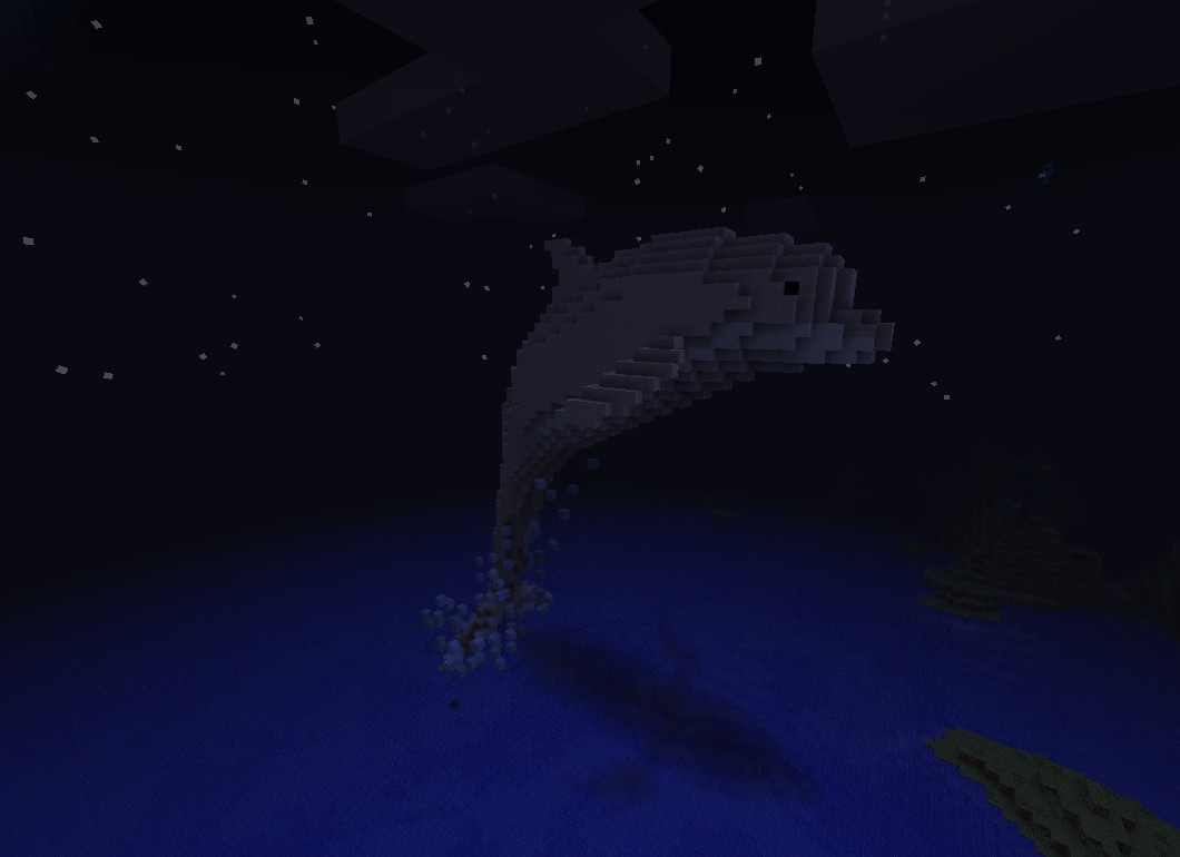 DOLPHIN! Minecraft Project