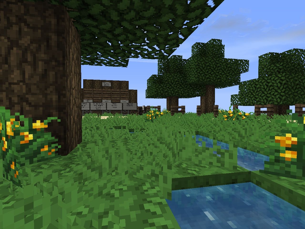 Tutorial Bowl Minecraft Project