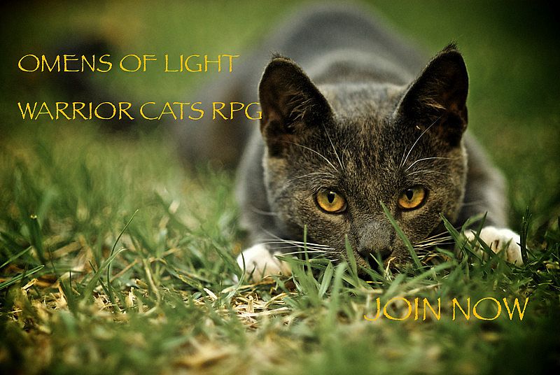 Omens of Light, Warrior Cats RPG x CLOSED X Minecraft Server