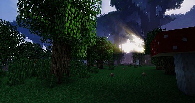Mushroom woodland