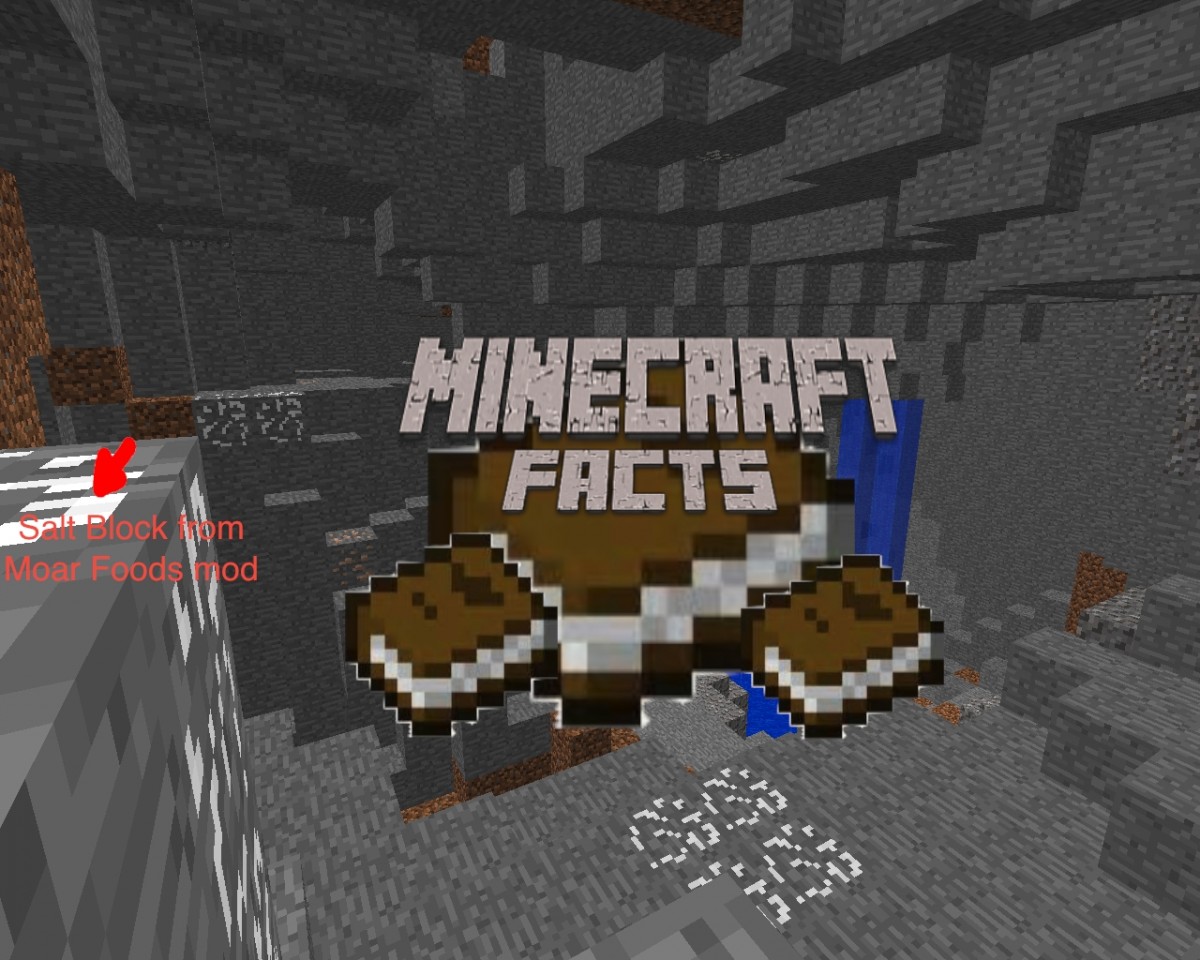 Minecraft Facts! Minecraft Blog
