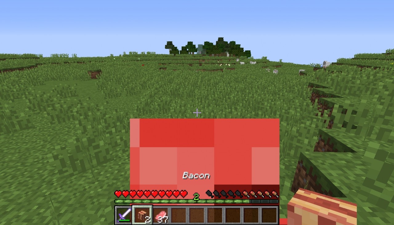Bacon in Vanilla Minecraft Minecraft Project