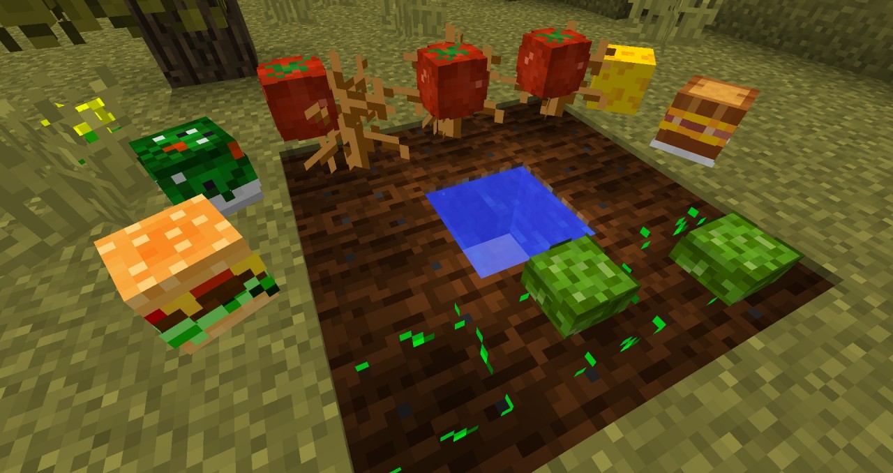 [1.8+] One Command Tomatoes, Lettuce, Cheese, Salad, Sandwhiches, and