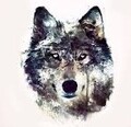 wolfix2020