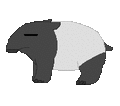 MCTapir