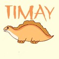 Timay avatar
