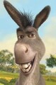 GamingDonkey's Avatar