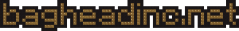 bagheadinc.net bagheadinc.net