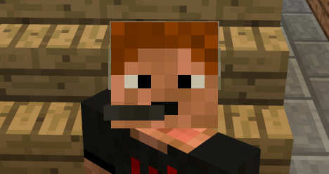 New Minecraft Survival Server 24/7