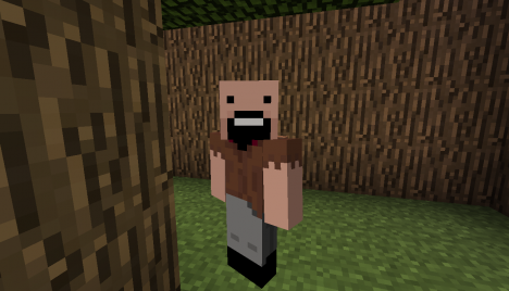 Ludacraft