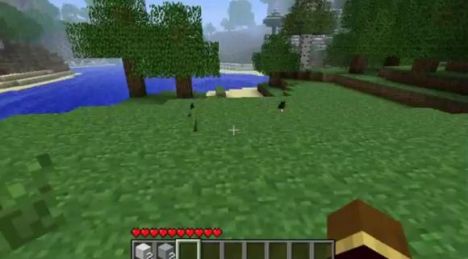 Complete VANILLA survival server Complete VANILLA survival server