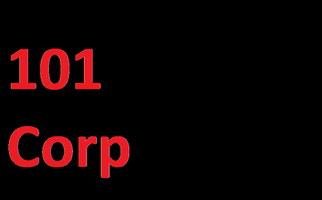 101 Corp 101 Corp