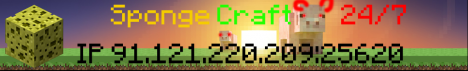 SpongeCraft SpongeCraft
