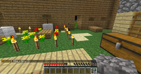 mineserv