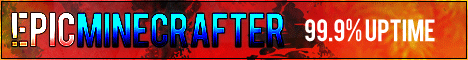 Epic Minecrafter