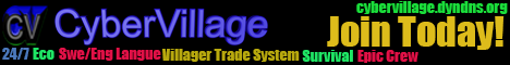 CyberVillage 2.0 CyberVillage 2.0