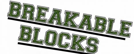 BREAKABLE BLOCKS SURVIVAL (NEED BUILDERS)
