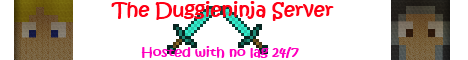 DuggieNinja Server DuggieNinja Server