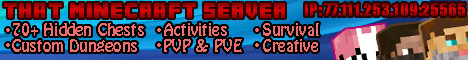 That Minecraft Server That Minecraft Server