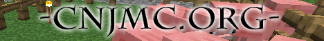 CNJ SMP CNJ SMP