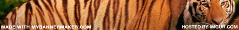 Tigercraft-pvp Tigercraft-pvp