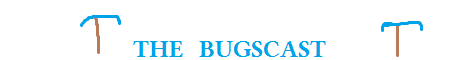 The Bugscast 1.4.7 The Bugscast 1.4.7