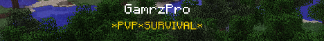 GamrzPro Official Bukkit Server