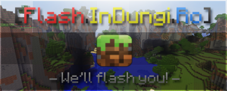 Flash.InDungi.Ro