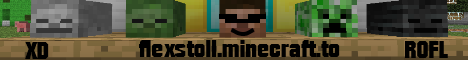 flexstoll.minecraft.to