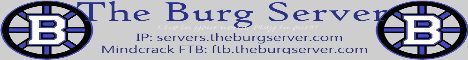 The Burg Server The Burg Server