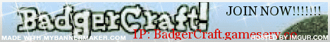 BadgerCraft, Survival Server! BadgerCraft, Survival Server!