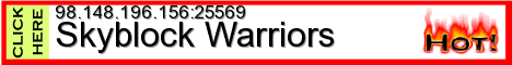 SkyBlock Warriors SkyBlock Warriors