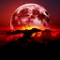 Survive the Night - Cannon Testing Plotserver Survive the Night - Cannon Testing Plotserver