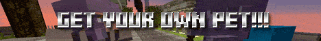 PETS - FLYING - PVP - FACTIONS PETS - FLYING - PVP - FACTIONS