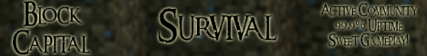 BlockCapital Survival BlockCapital Survival