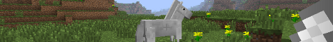 1.6.4 Survival Server 1.6.4 Survival Server