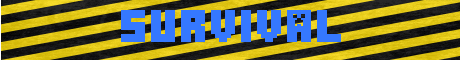RiotCraft RiotCraft