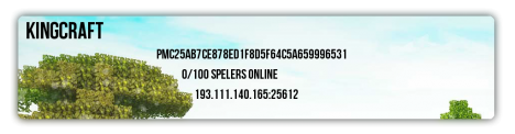 KingsCraftnl KingsCraftnl