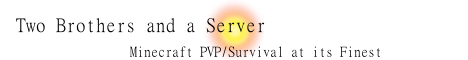 Two Brothers and a Server Two Brothers and a Server
