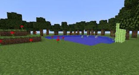 Wilderness Craft Wilderness Craft