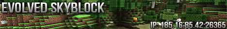 Evolved Skyblock Evolved Skyblock