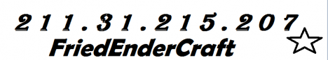 FriedEnderCraft FriedEnderCraft