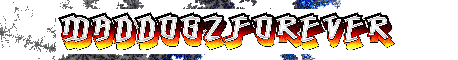 MadDogzForever.zapto.org MadDogzForever.zapto.org
