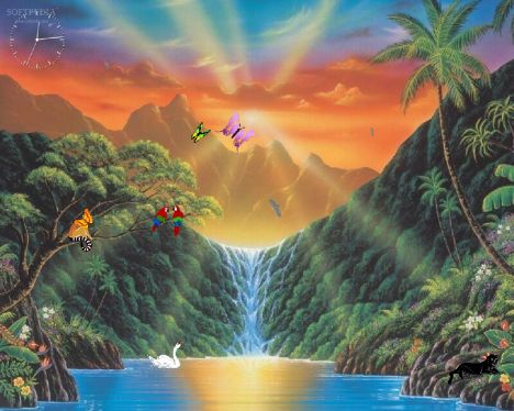 Paradise Paradise