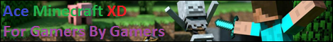 Ace Minecraft Minecraft Server