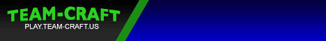 Team-Craft Networks Team-Craft Networks