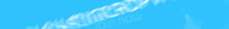 MicroNetwork MicroNetwork