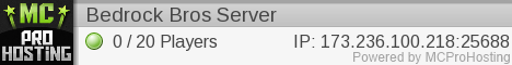Bedrock Bros Official Server