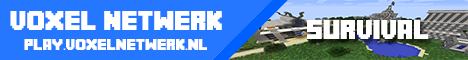 Voxel Netwerk Voxel Netwerk