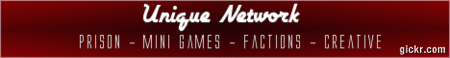 Unique Network Unique Network